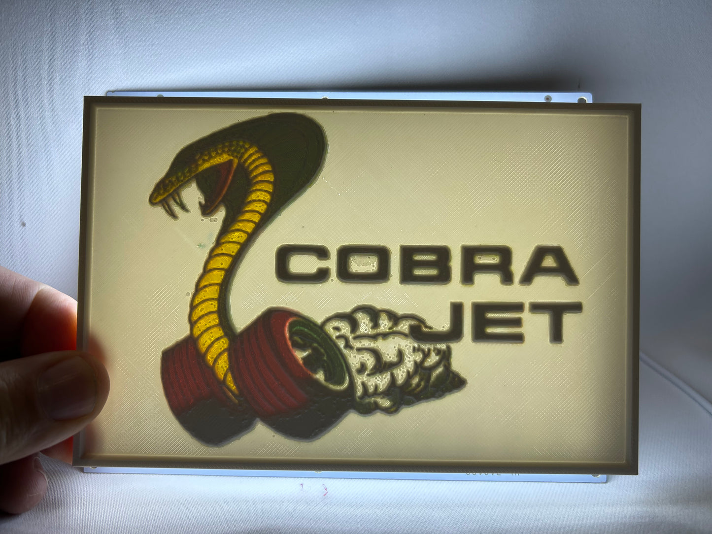 Custom CMYK Lithophanes